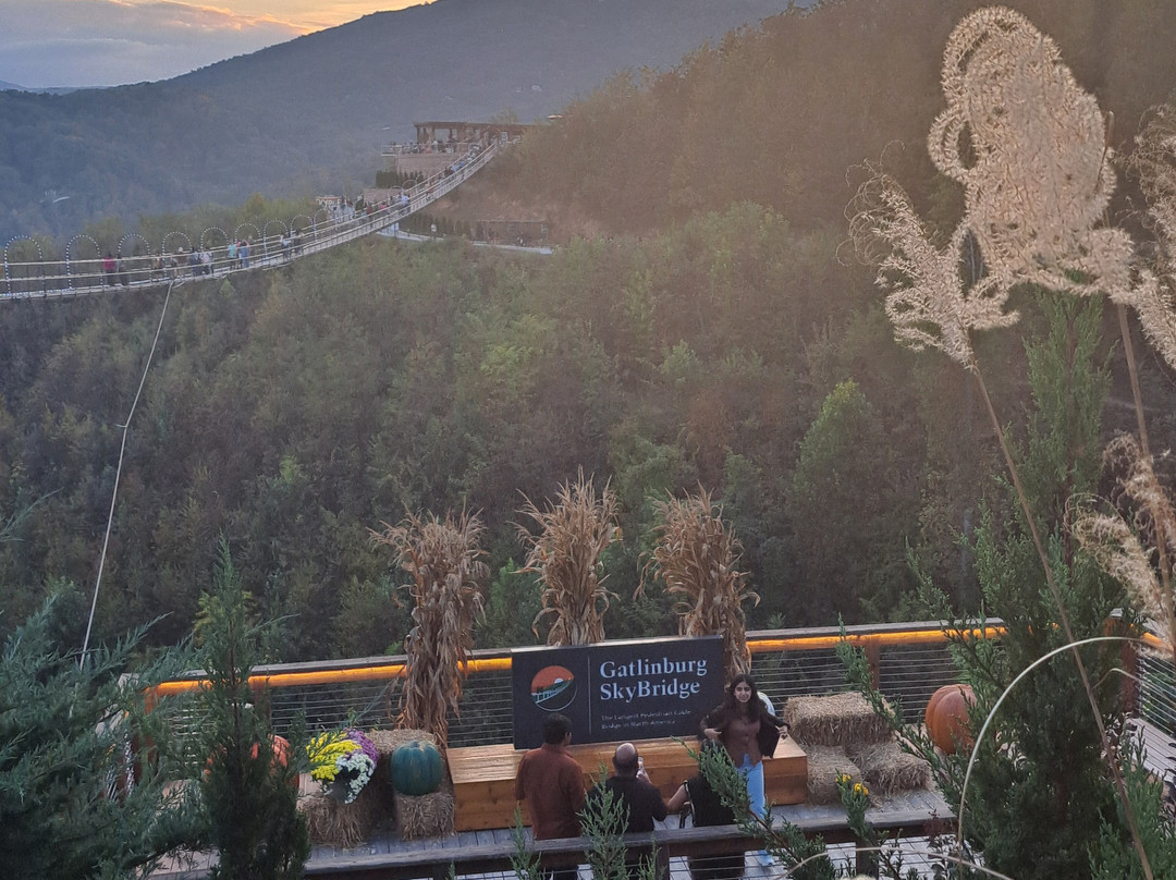 SkyBridge-盖林柏格必去景点