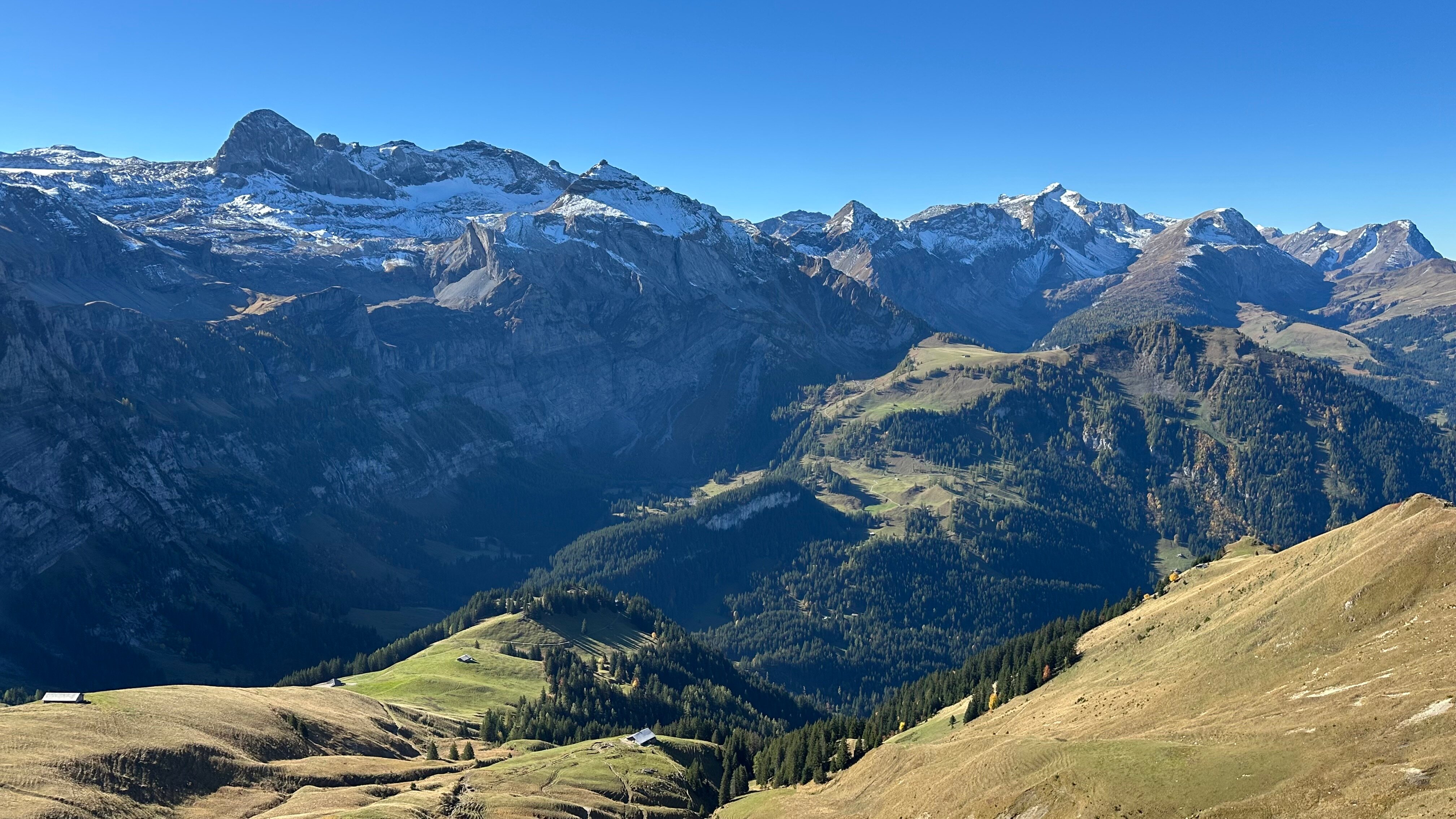 Hotel Des Alpes-官方