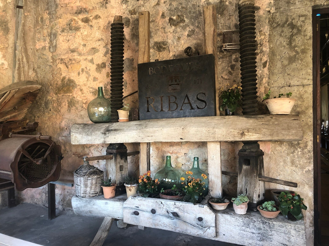 Bodega Ribas-Consell必去景点