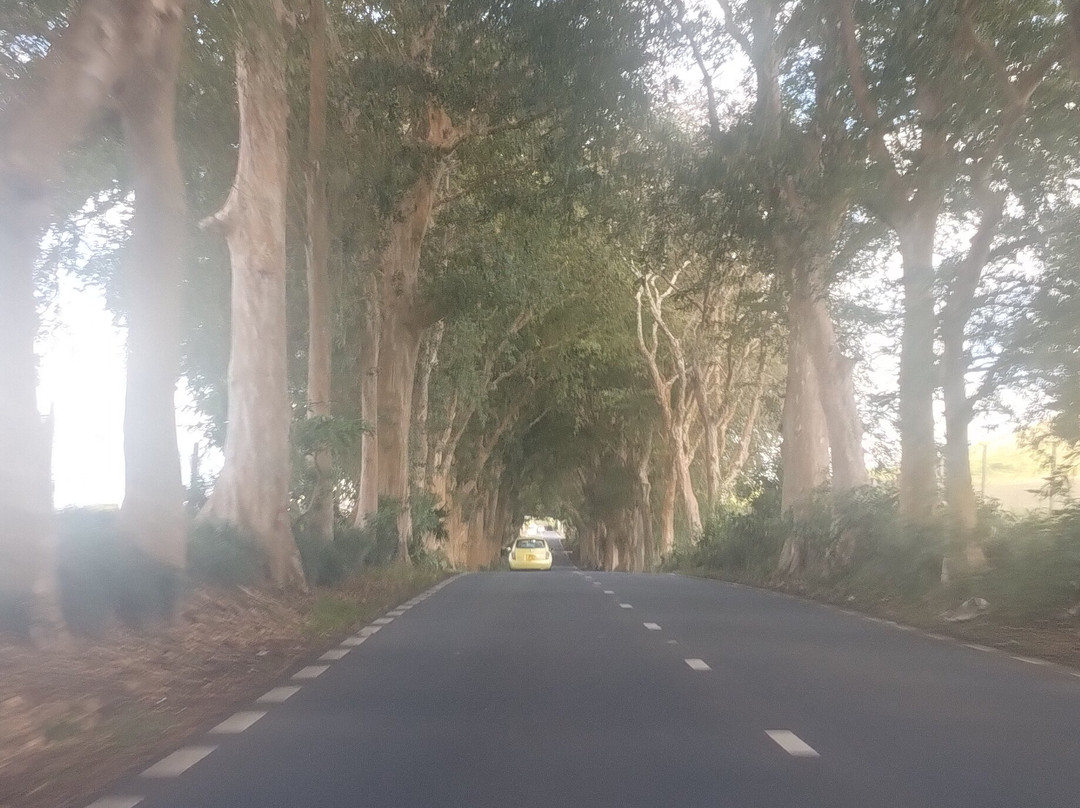 Allowkick Ltd-卓得多斯必去景点