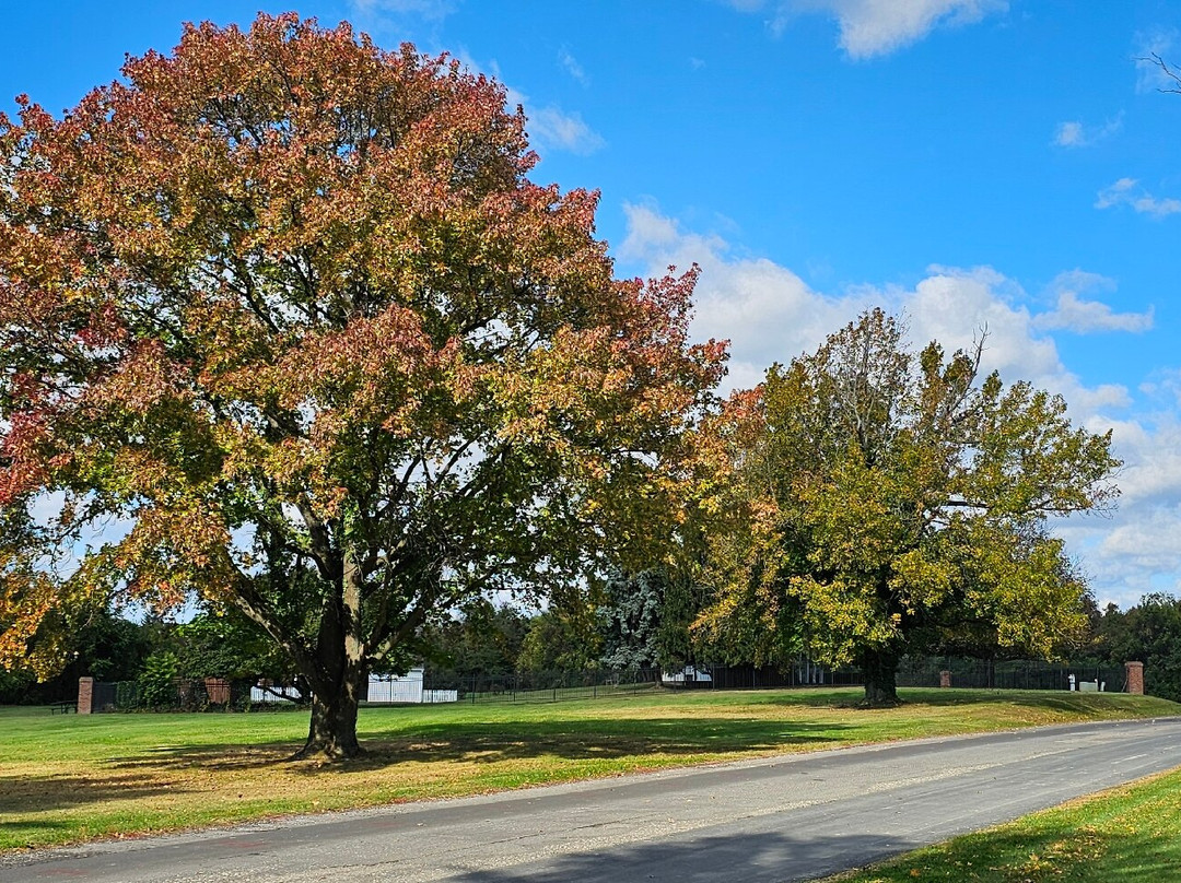 Rocky Point Golf Course-Essex必去景点