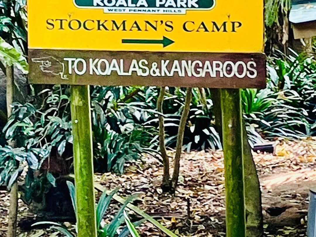 Koala Park Sanctuary-West Pennant Hills必去景点