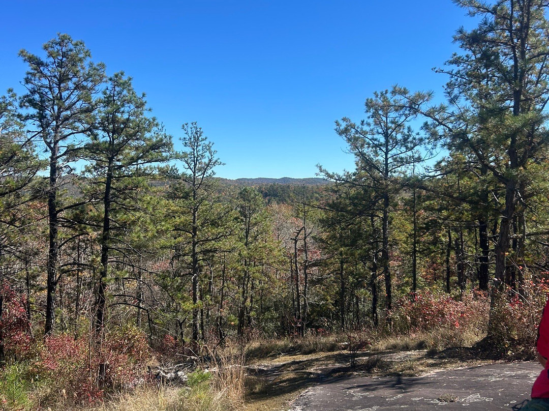 The Bike Farm-Pisgah Forest必去景点