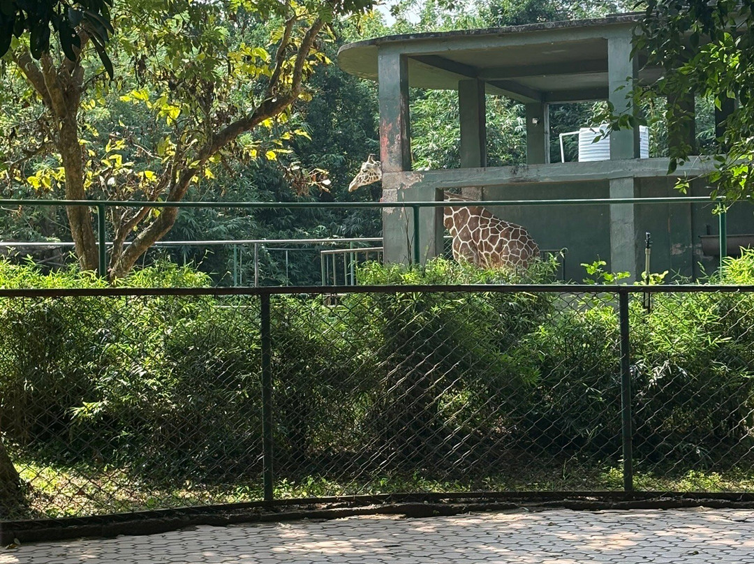Nandankanan Zoological Park-布巴内斯瓦尔必去景点