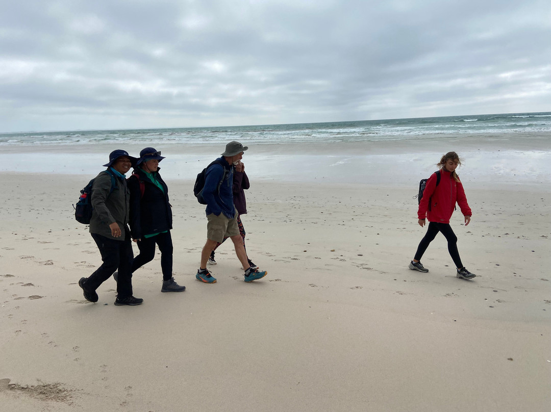 Wild Wellness-赫曼努斯必去景点