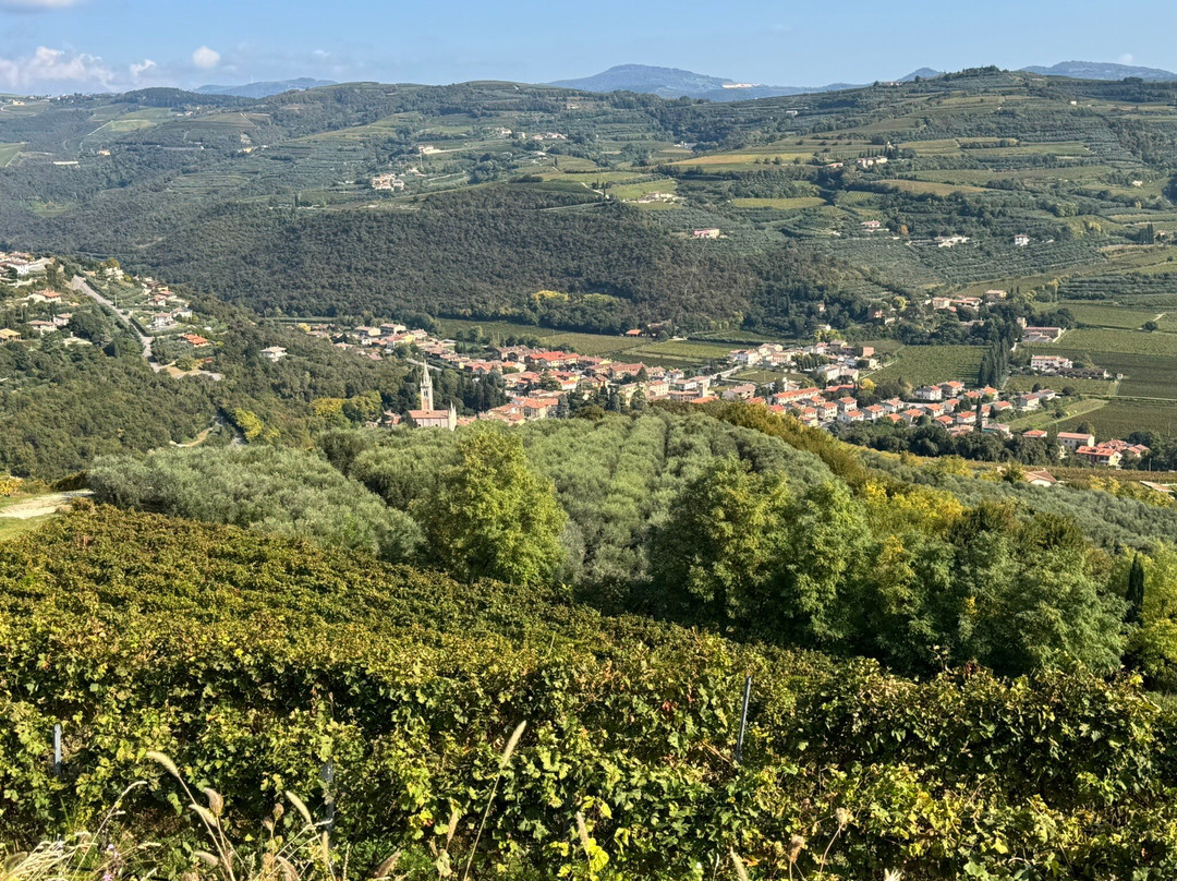 Terroir Tours-戈尔兹伯勒必去景点