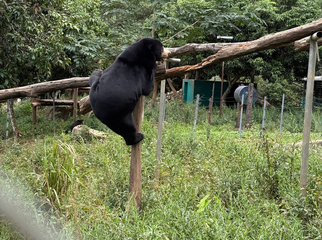 Luang Prabang Wildlife Sanctuary-琅勃拉邦必去景点