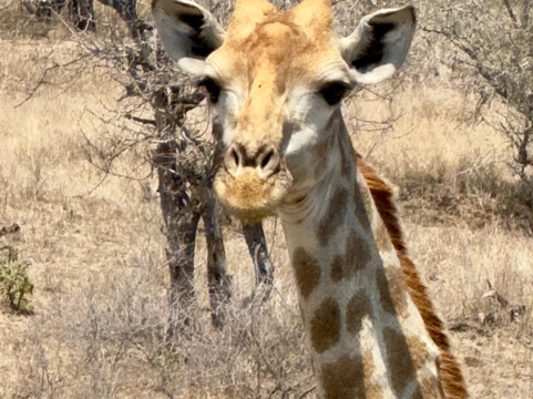 MyAfrica-霍德斯普鲁特必去景点
