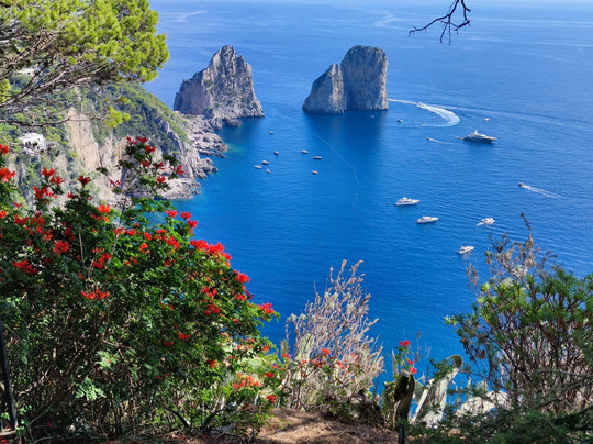 Guide Francais BALI ( Yanik FBALI)-乌布必去景点