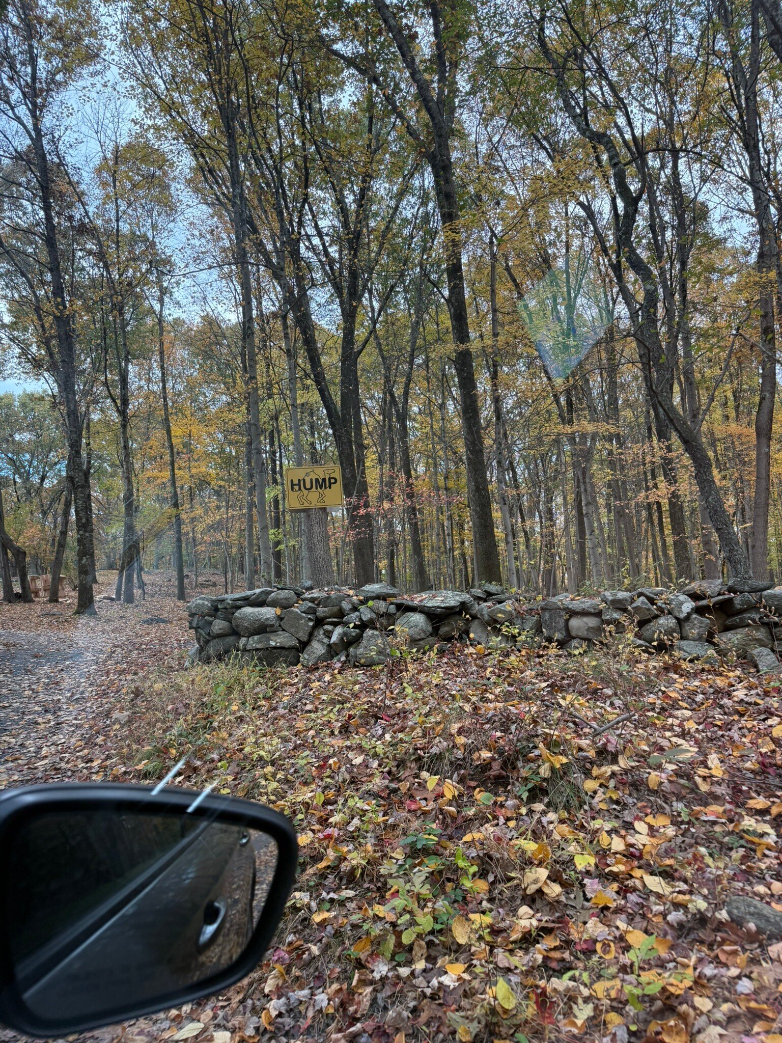 Honey Maple Grove Lodge-官方