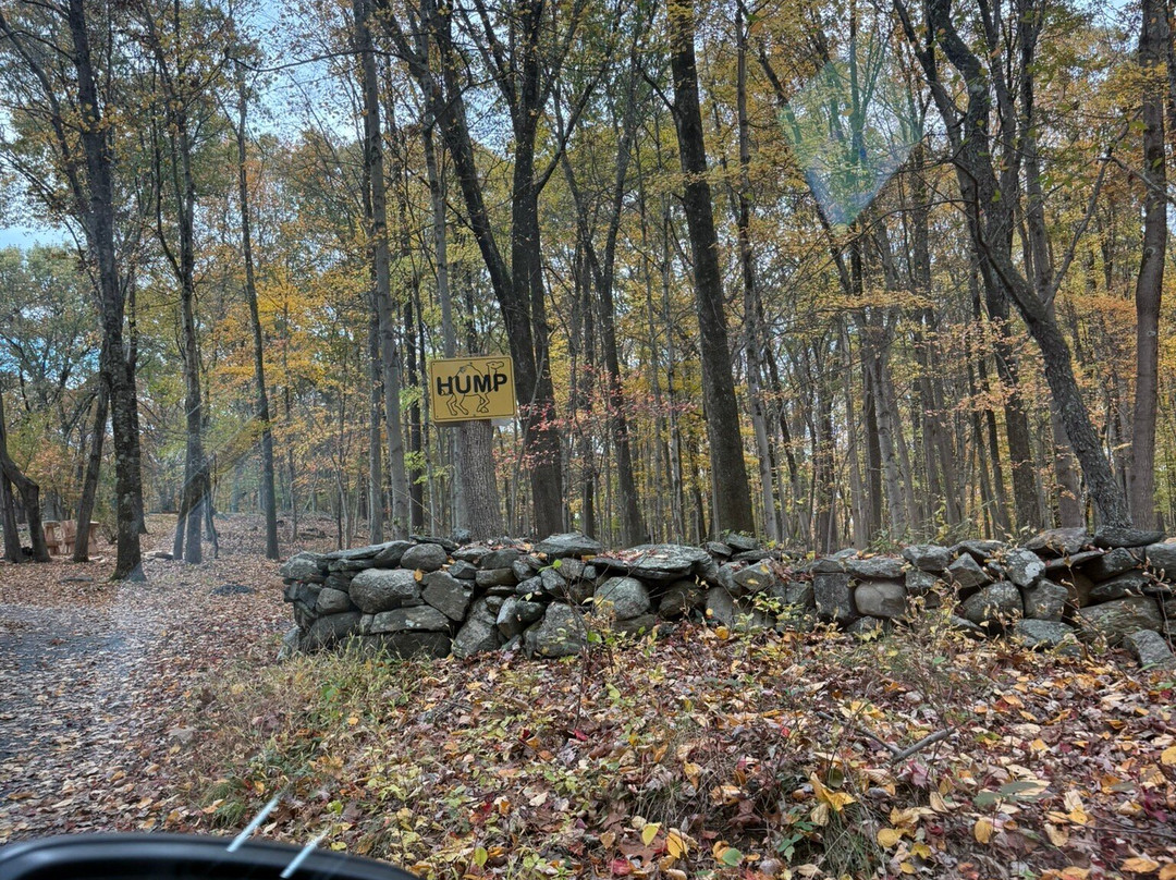 Honey Maple Grove Lodge主图