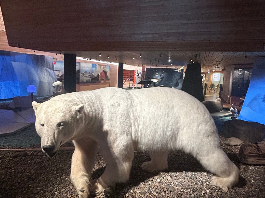 Svalbard Museum-朗伊尔城必去景点