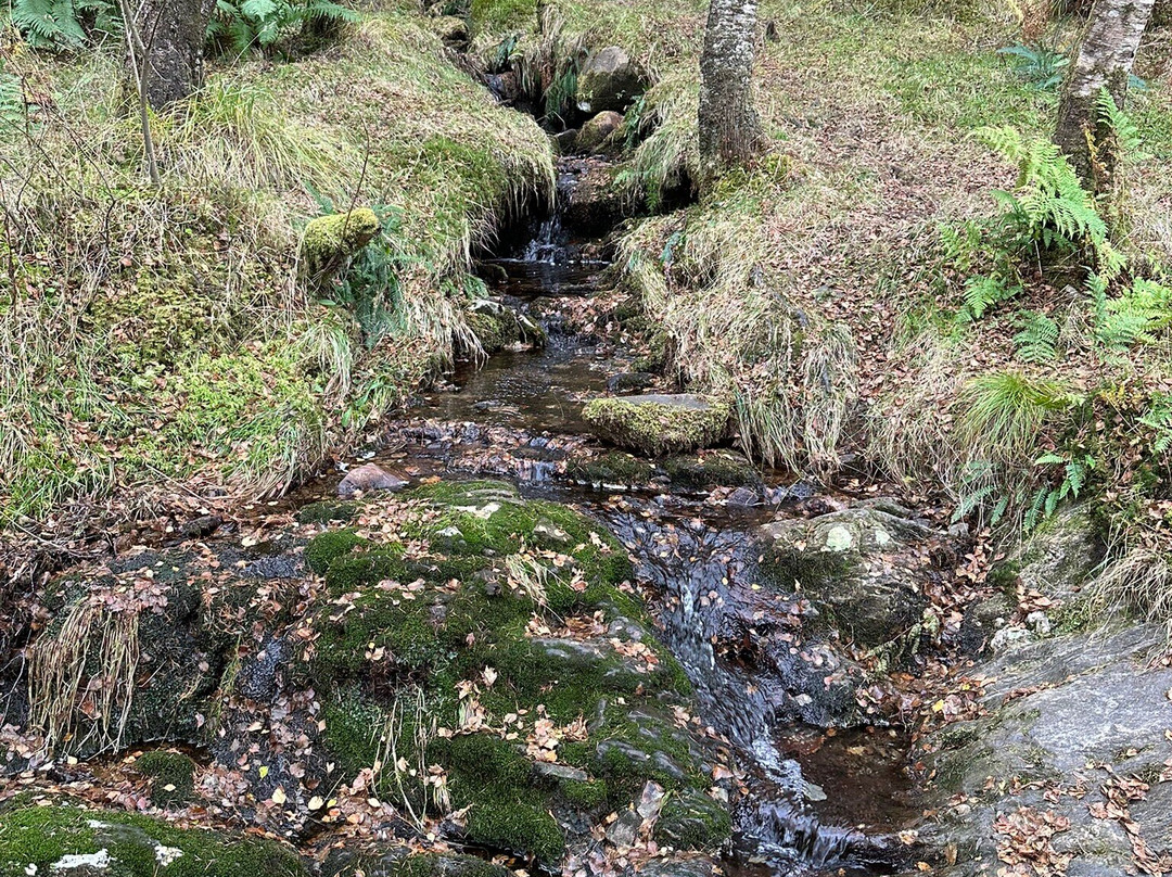 Ben Lomond-Rowardennan必去景点