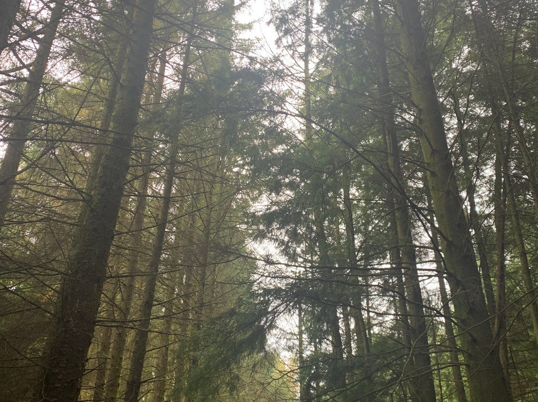 Barry Sidings Countryside Park-Trehafod必去景点