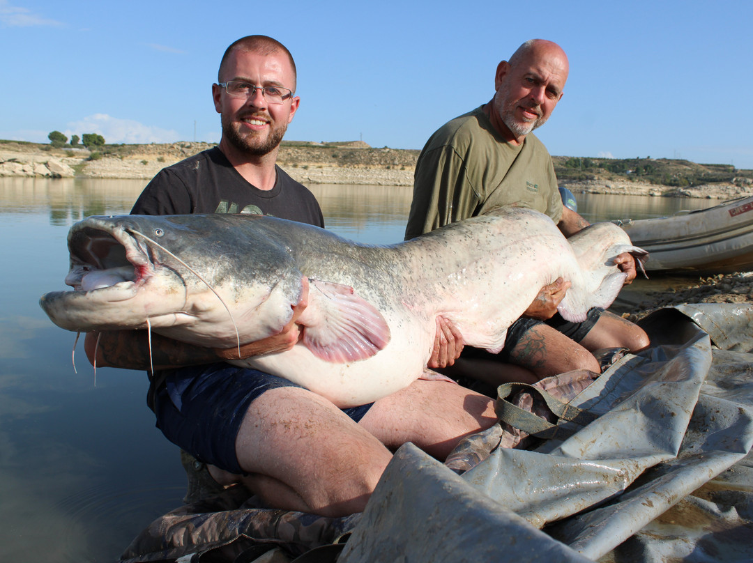River Ebro Catfishing Holidays-Caspe必去景点