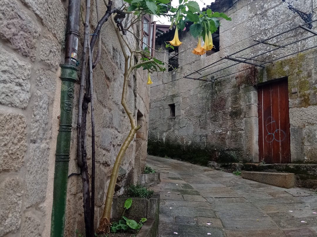 Plaza da Fonte-Combarro必去景点