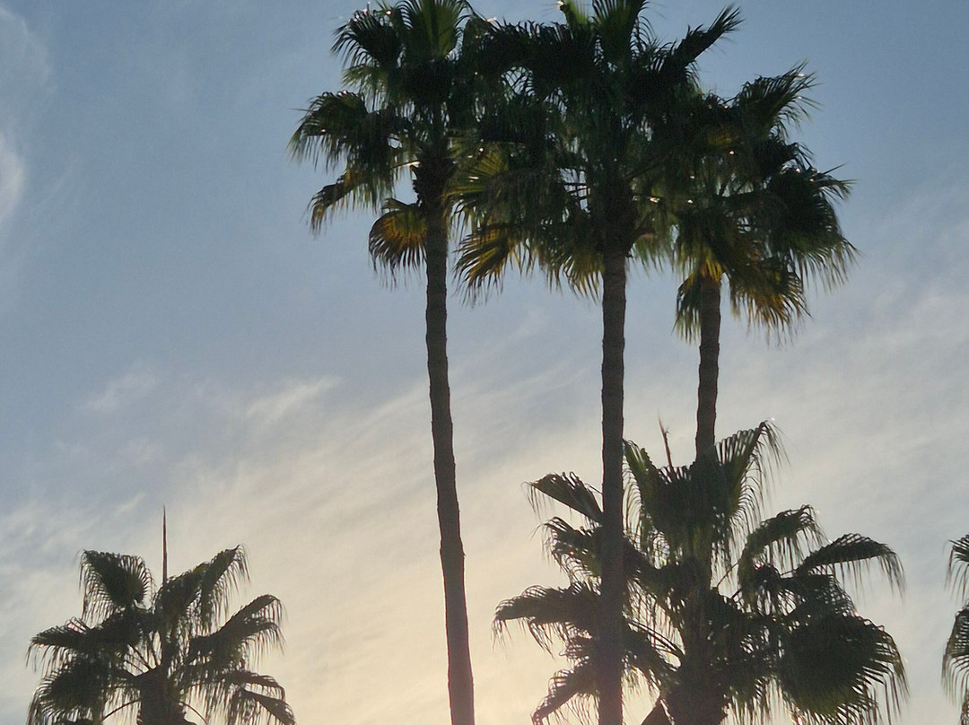 Grupotel Santa Eularia & Spa主图