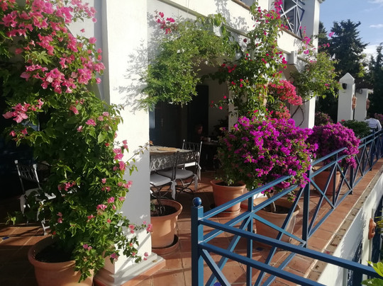 Boutique Hotel Maravilla主图