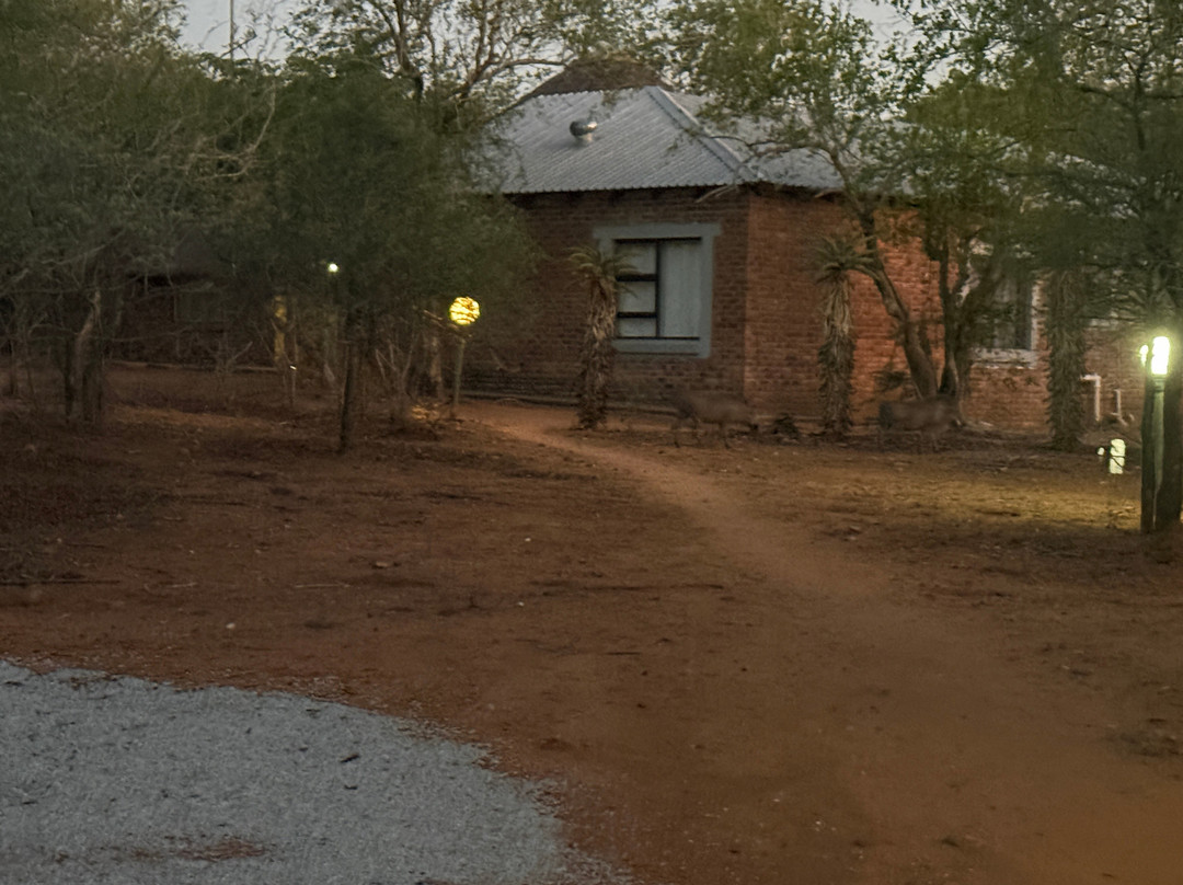 皇家克鲁格旅舍主图