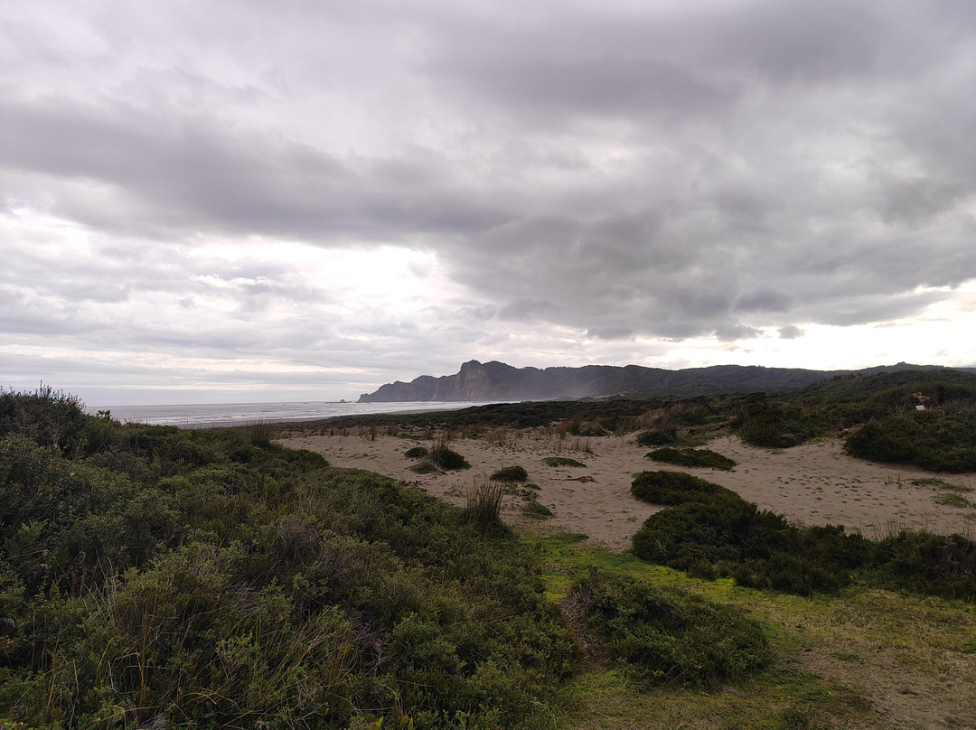 Parque Tepuhueico-Chonchi必去景点