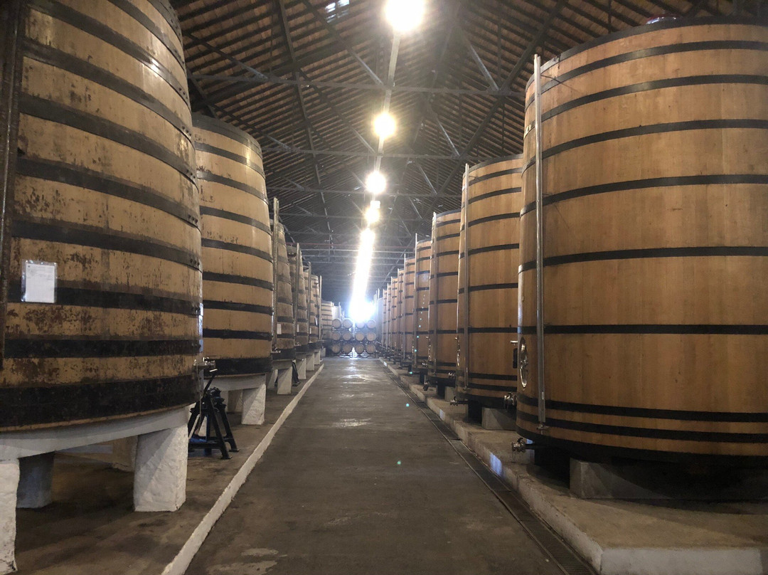 Real Companhia Velha-加亚新城必去景点