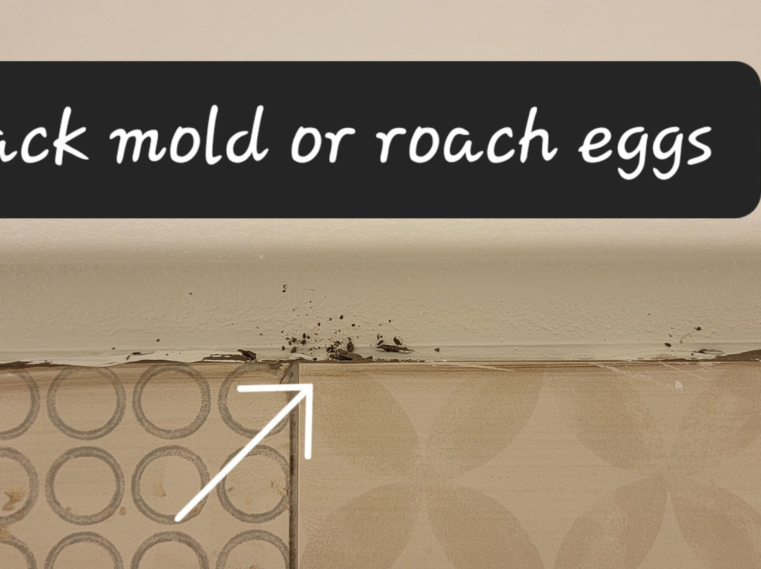 Country Inn & Suites by Radisson, Hoffman Estates, IL主图