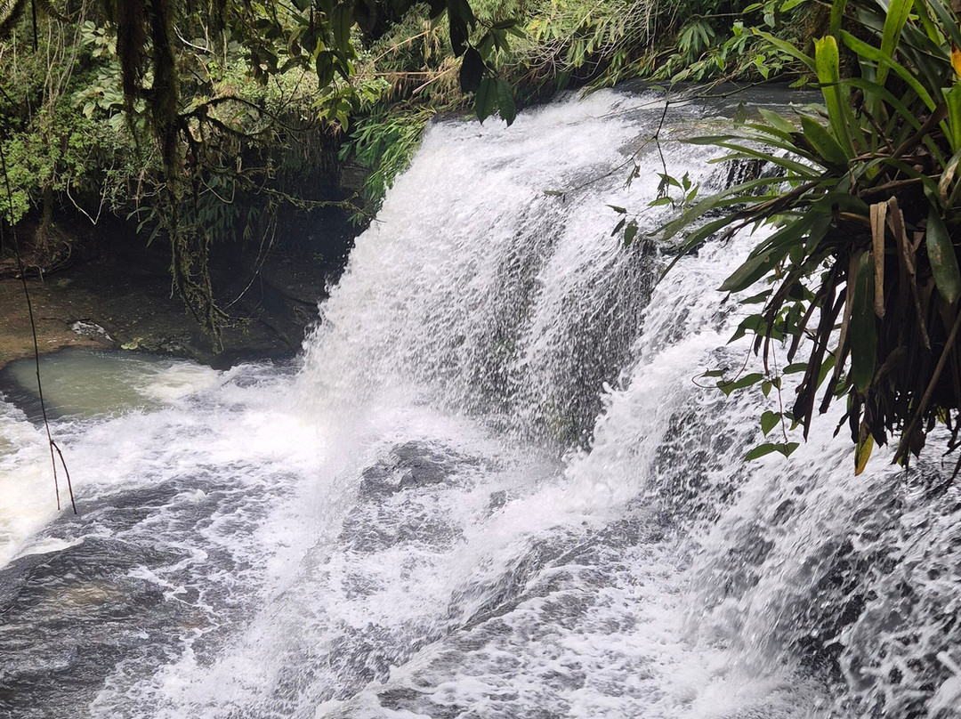 Cachoeira Perehouski-Prudentopolis必去景点
