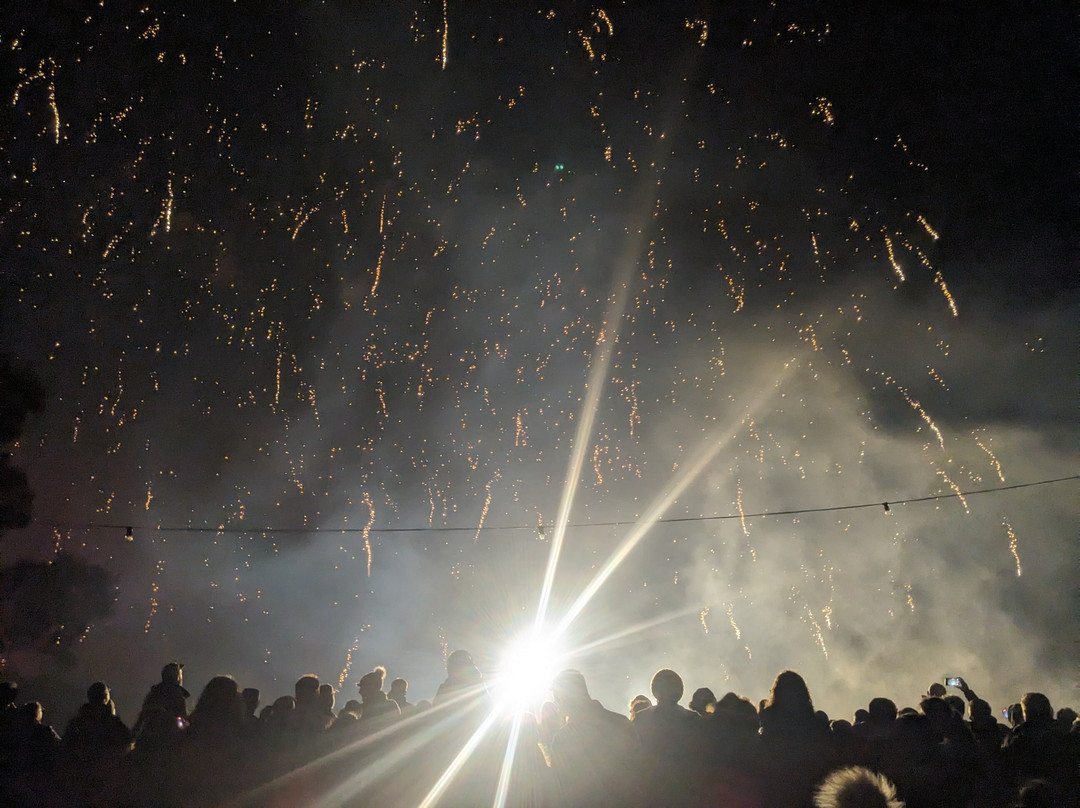 Avon Valley Adventure Park-Keynsham必去景点