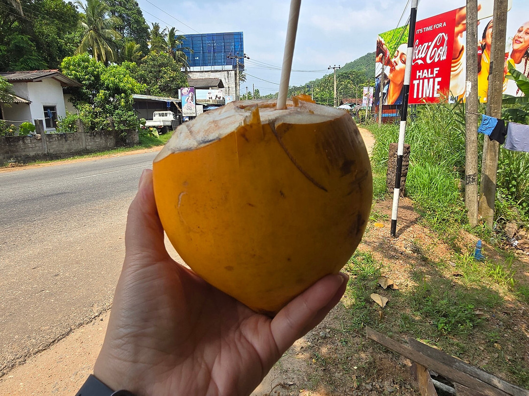Swinkel Ceylon Tours-Mirigama必去景点