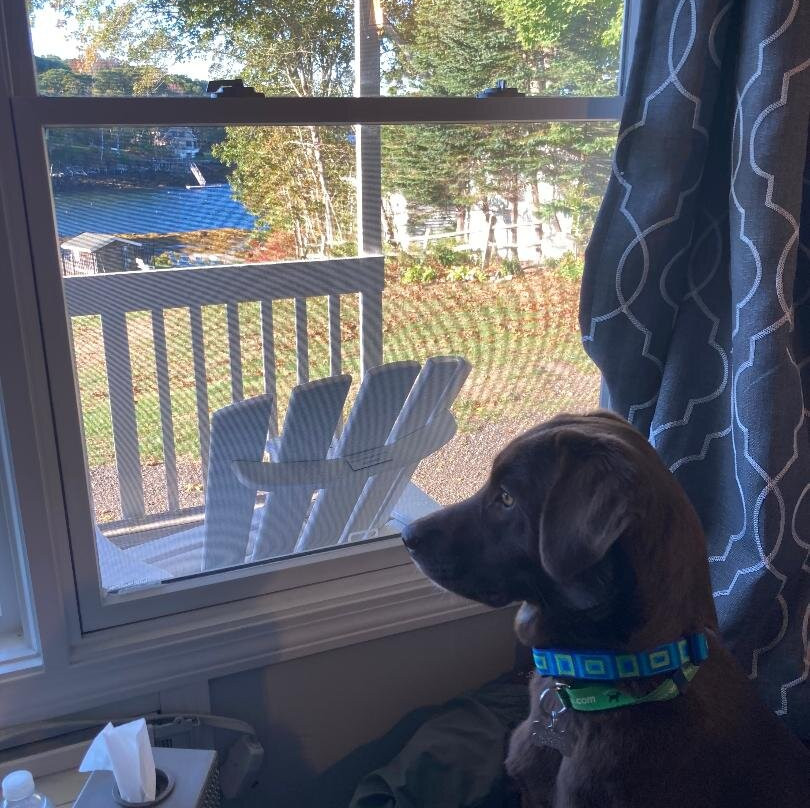 Smuggler's Cove Inn主图