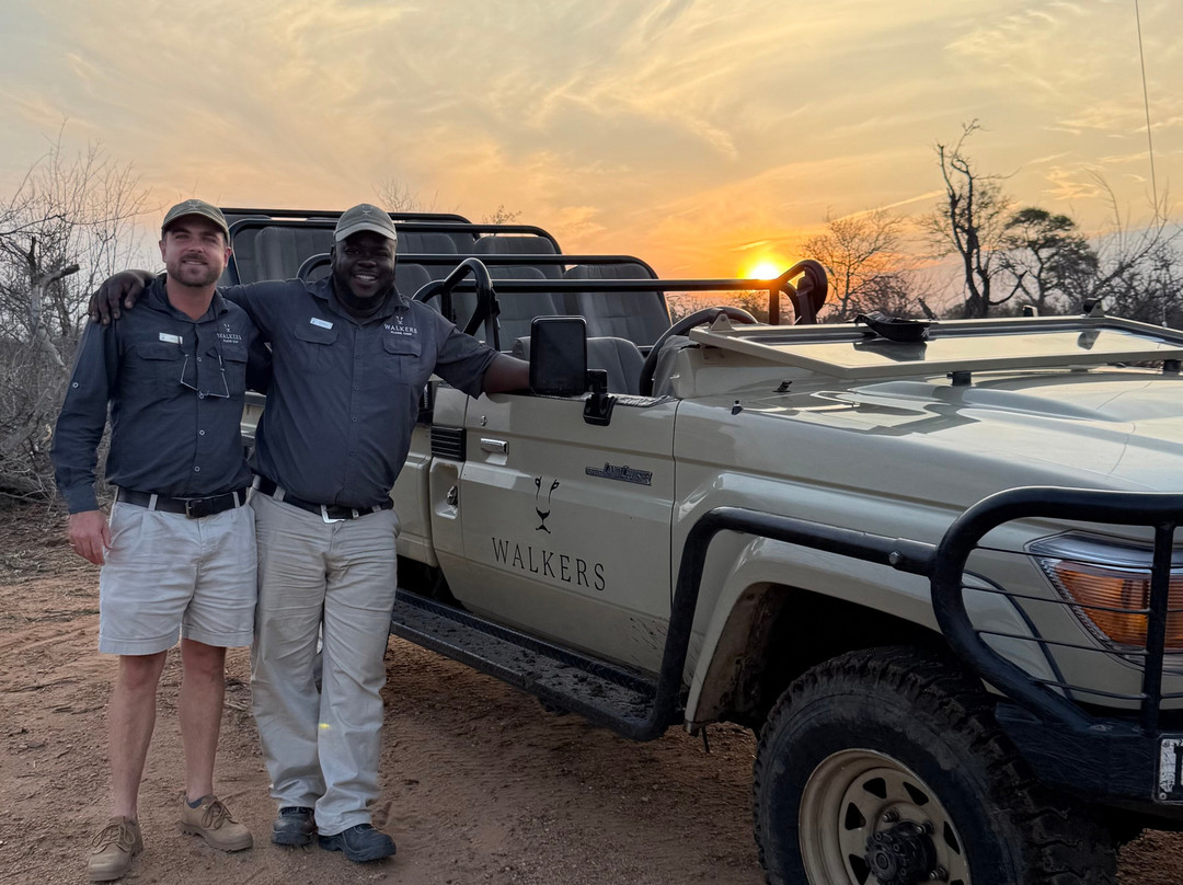 Wild Eye-弗维斯必去景点