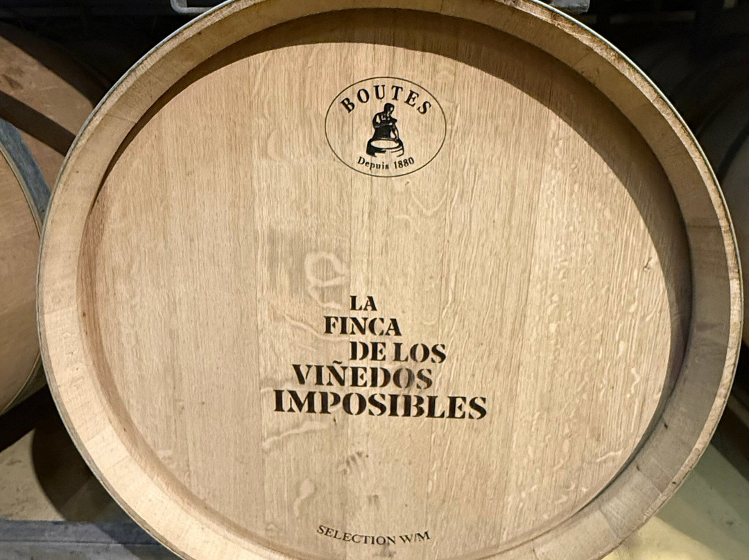 Bodega Matervini-路冉得库约必去景点