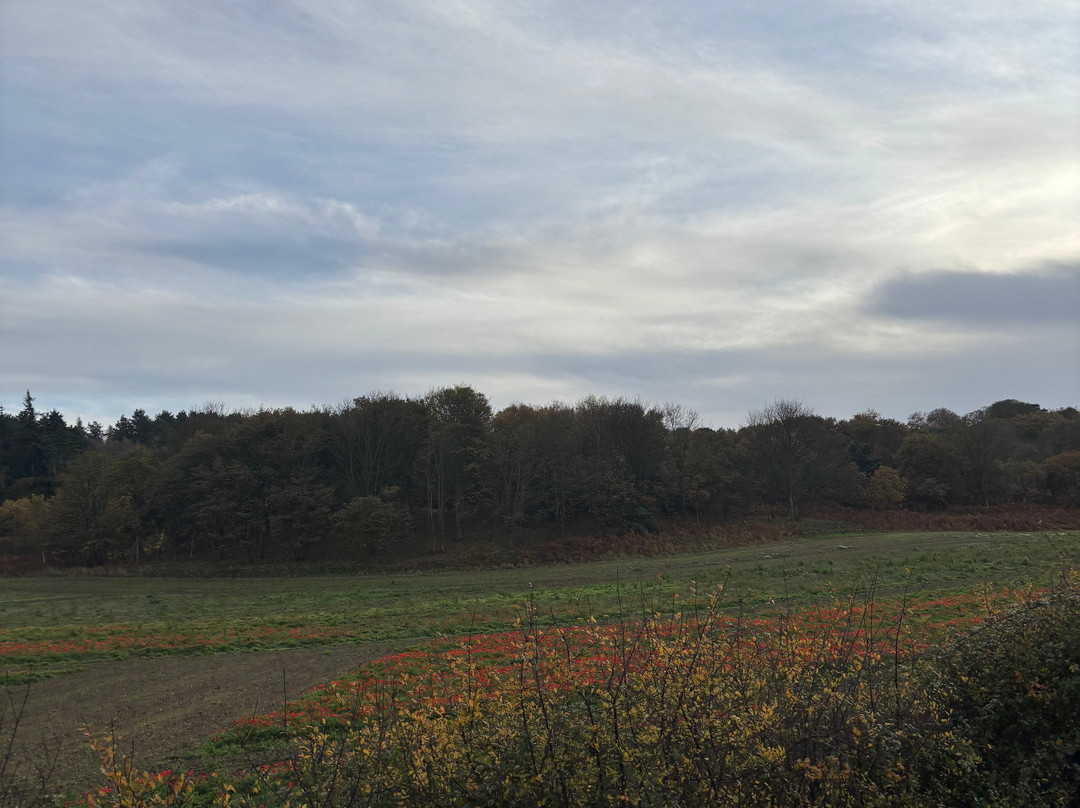 North Norfolk Railway-Sheringham必去景点