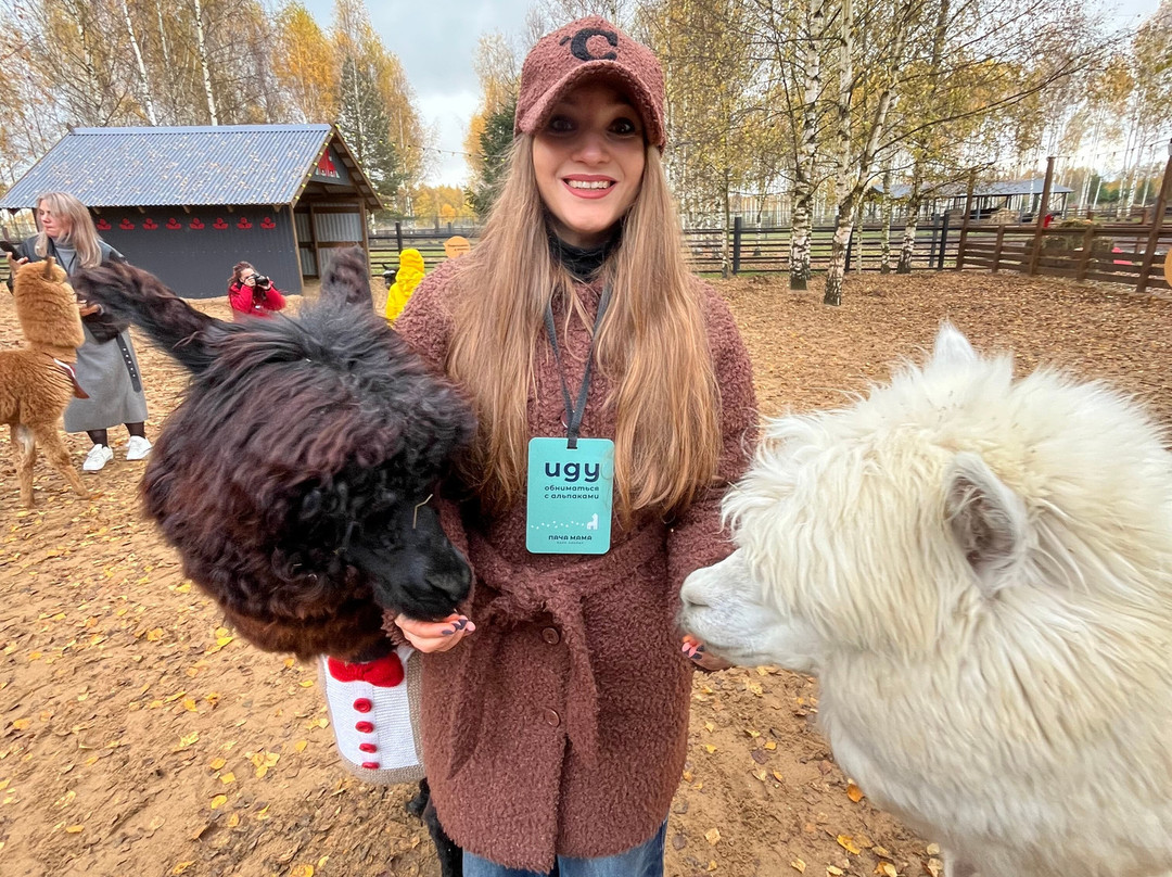 Pacha Mama Alpaca Park-Yasenevo必去景点