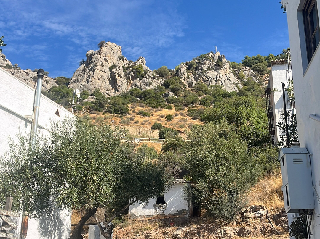 The Olive Branch El Chorro主图