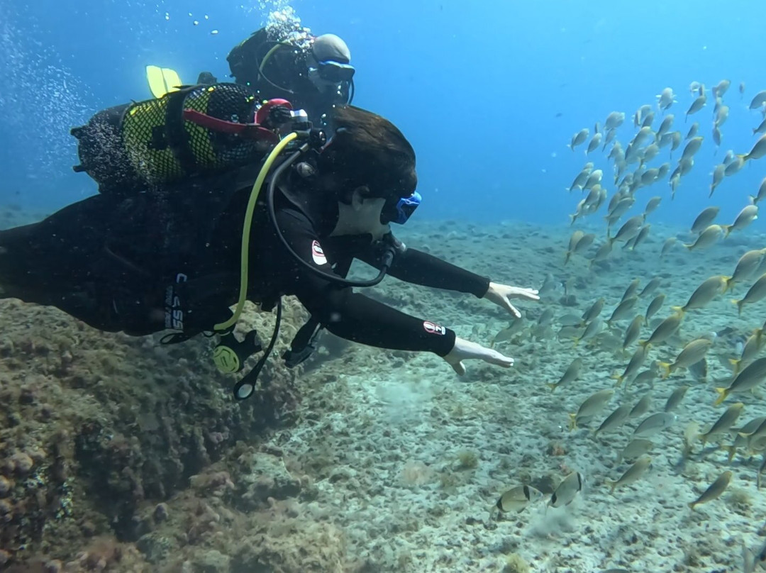 Centro de Buceo Margullar Diving-大加那利岛拉斯帕尔马斯必去景点