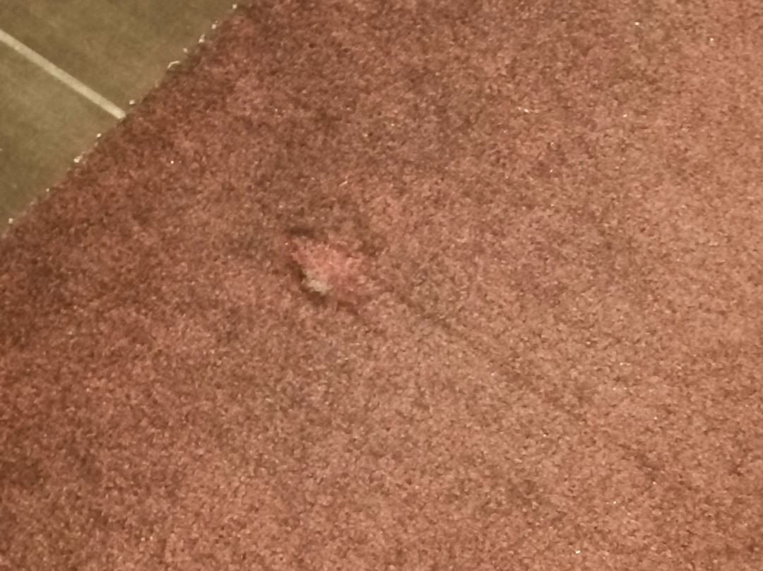 迪尔乐酒店集团主图