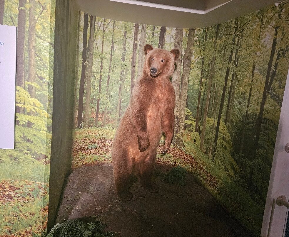 阿尔斯特博物馆-贝尔法斯特必去景点