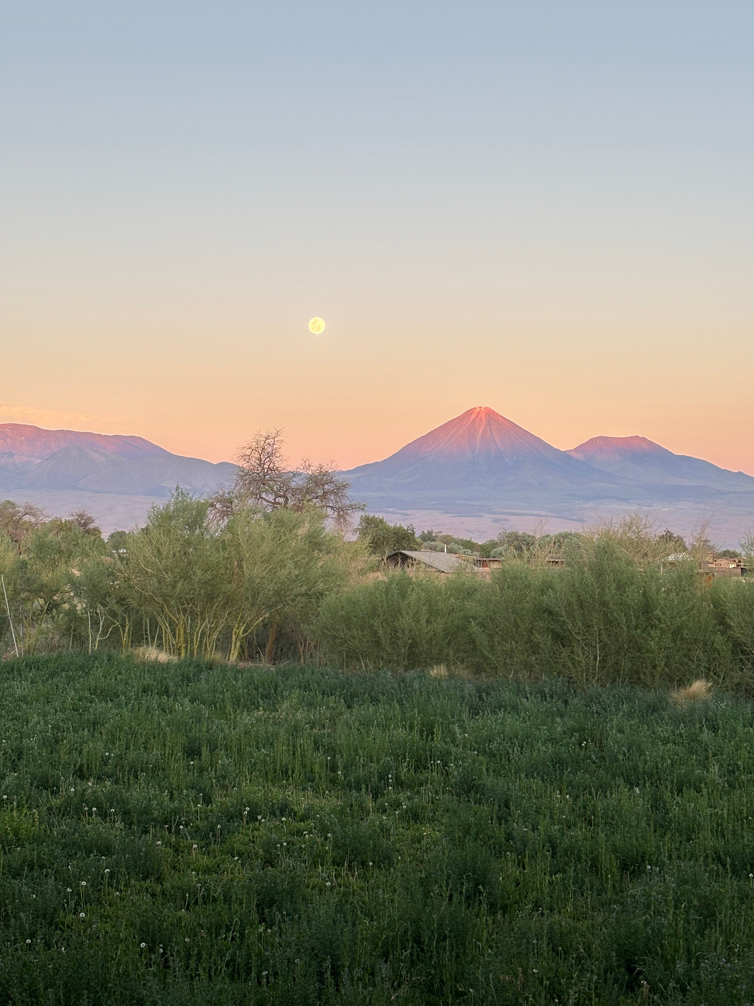 Tierra Atacama-官方