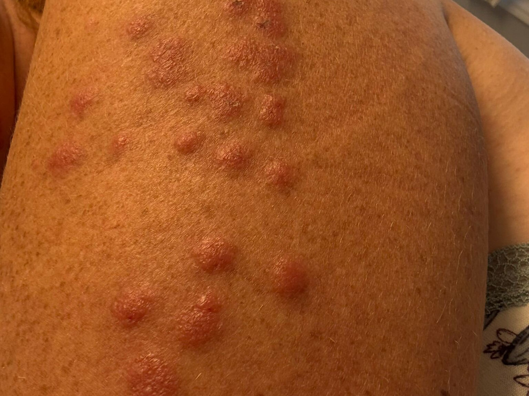 拜沃德蓝酒店主图