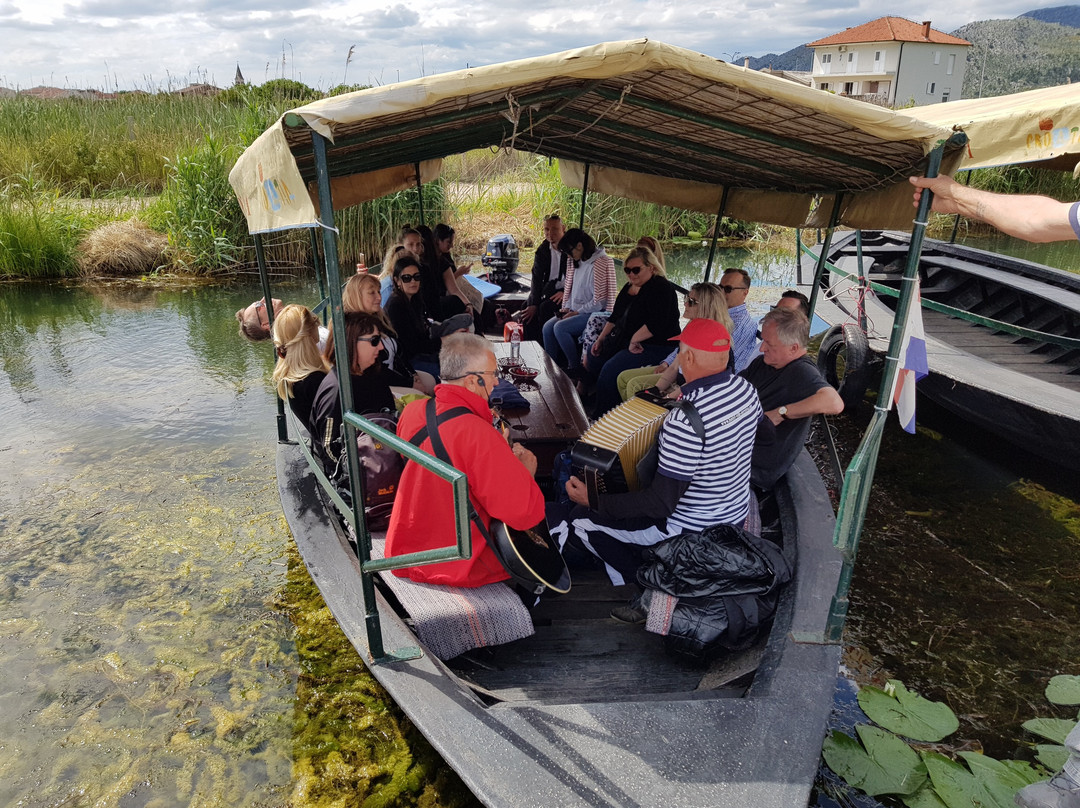 Metkovic酒店住宿-Hotel Villa Neretva