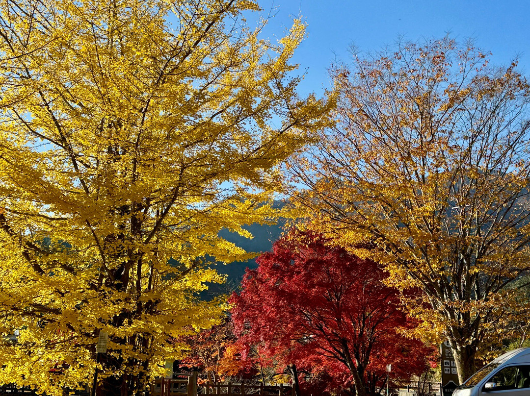 西湖-富士河口湖町必去景点