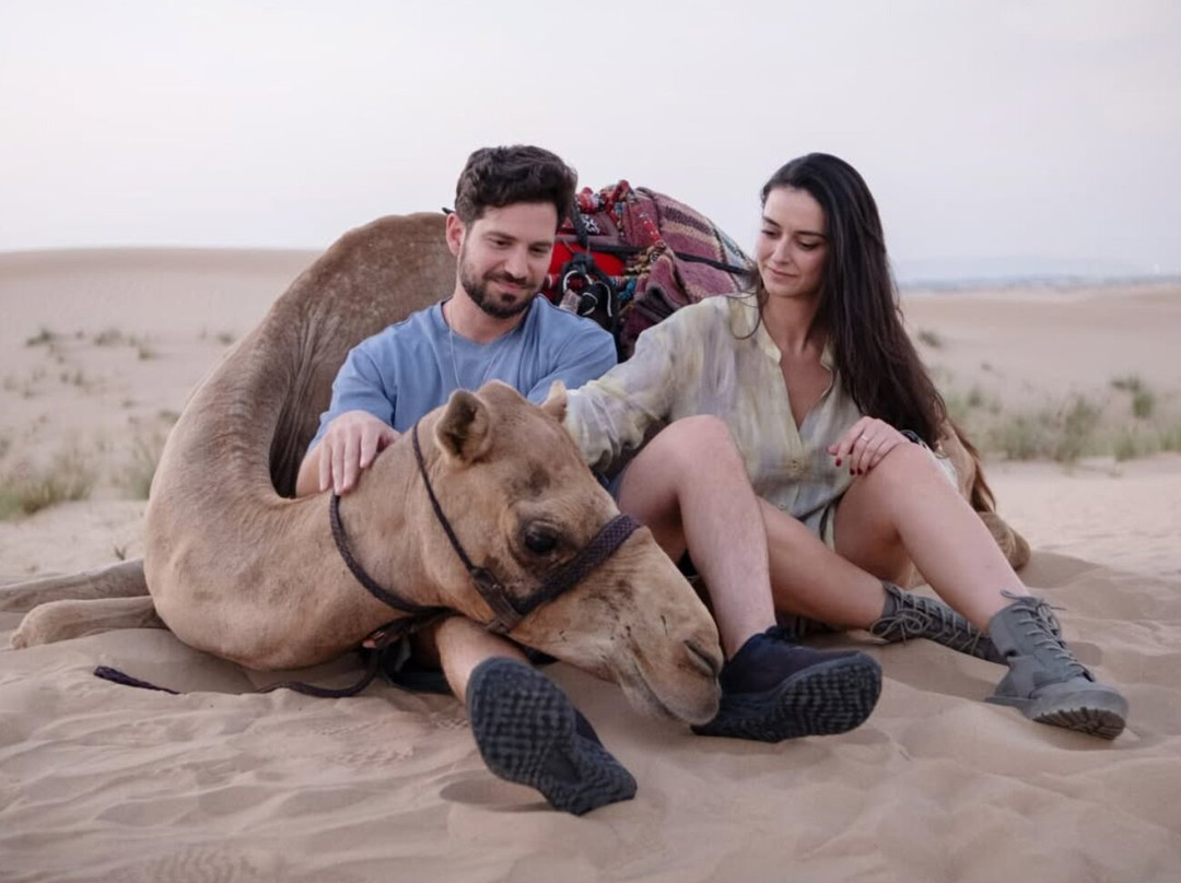 The Camel Farm-迪拜必去景点