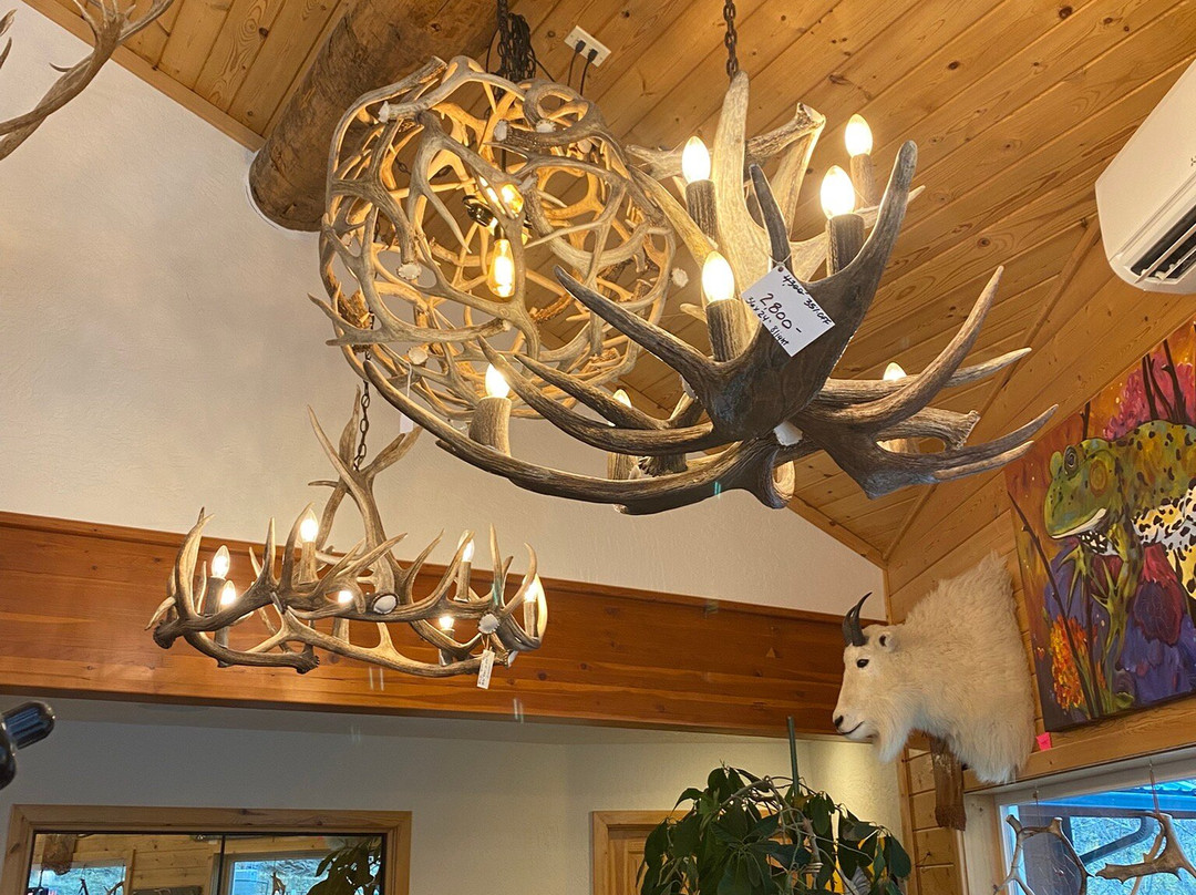 Unique Antler Design Wildlife Gallery-Riggins必去景点
