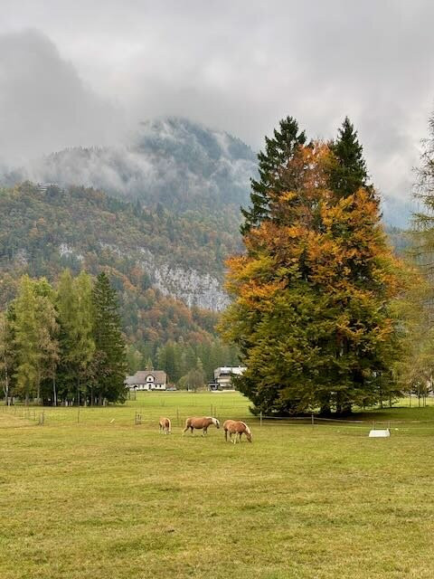 Triangel Boutique Hotel主图