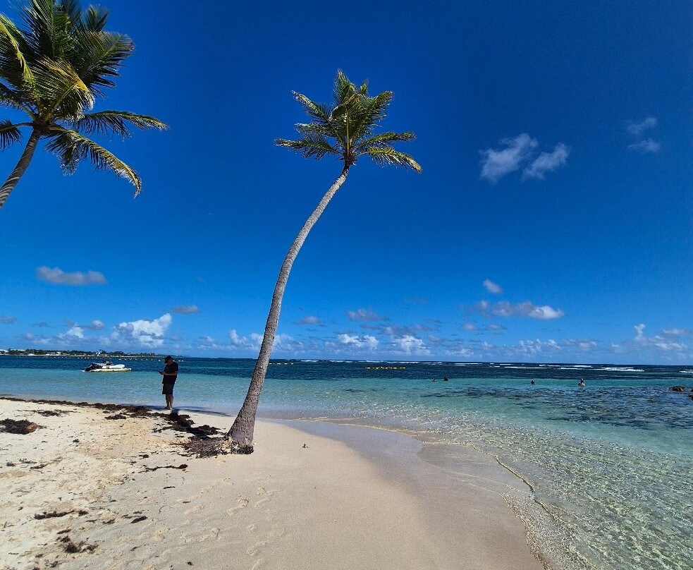 Le Jardin Tropical主图