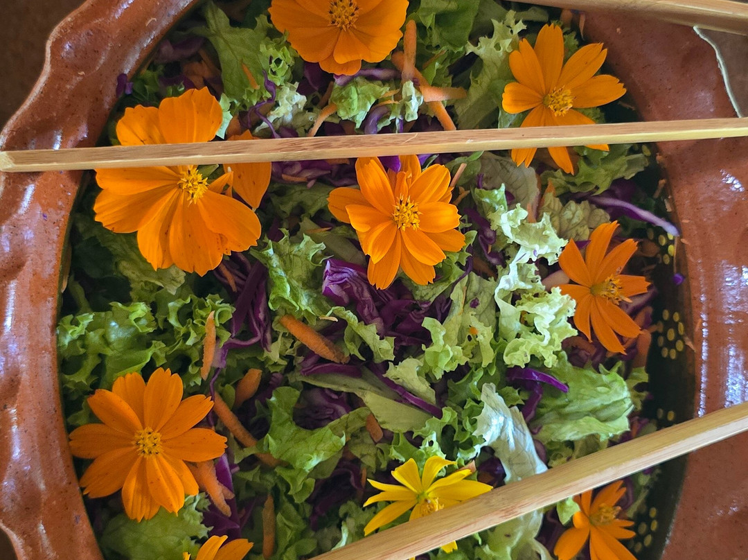 Cenote La Casa De Los Pájaros-Tizimin必去景点