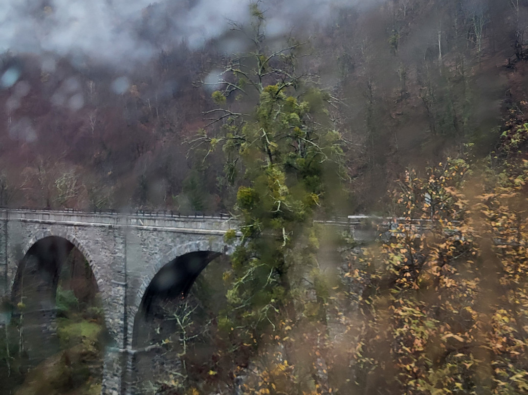 Vigezzina-Centovalli Railway-多莫多索拉必去景点