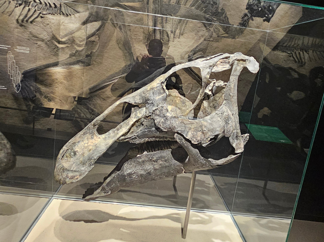 Dinosauria Museum Prague-Tuchomerice必去景点