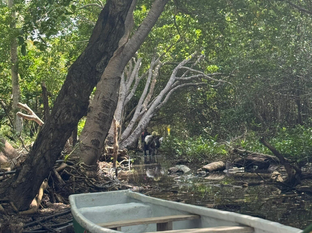 Reserva Natural Sanguare-Rincon del Mar必去景点